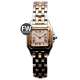 Cartier Panthere